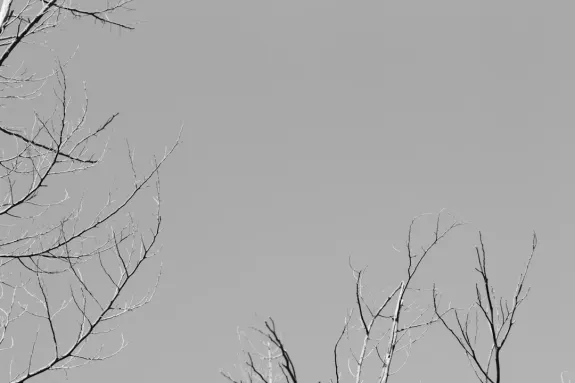 엑스카지노 카지노 지원